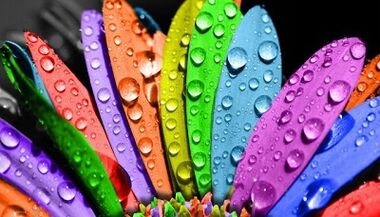 como bajar de peso con la dieta de los 6 petalos