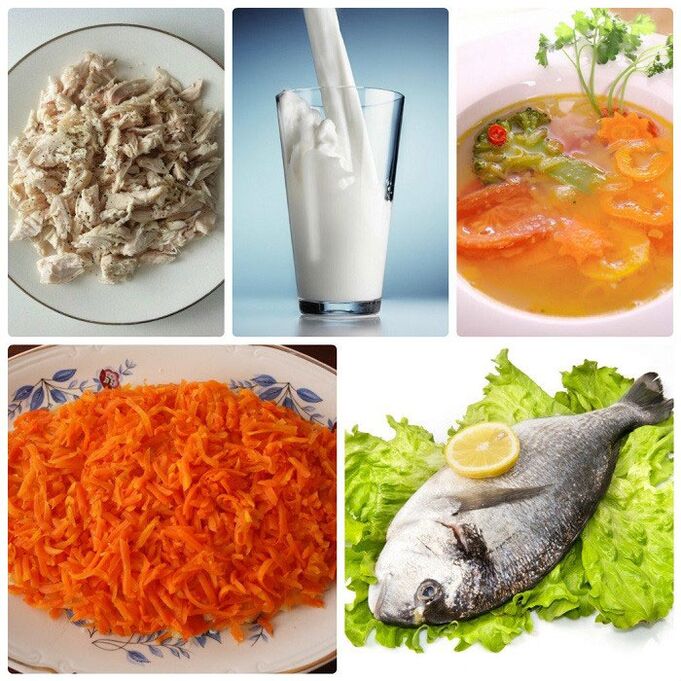 Platos dietéticos japoneses