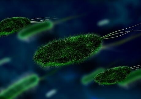 la causa de la gastritis es una bacteria - Helicobacter